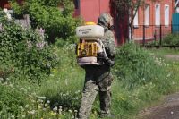 Курган начинают обрабатывать от комаров и мошек