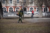 Парки и скверы Кургана обработали от клещей