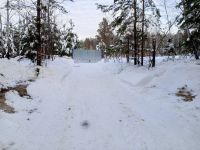 Свалку биологических отходов в Белозерском округе должны ликвидировать до 2 февраля