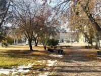 В Зауралье до конца октября ожидается плюсовая температура днем