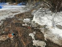 Прокуратура Зауралья не выявила размещение биоотходов в районе села Боровлянка