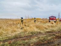 С 10 апреля в лесах Зауралья запретят разводить огонь