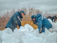 Курганцы могут помочь эвакуированным жителям и укрепить дамбу