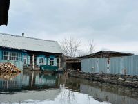 Уровень воды в Тоболе у Звериноголовского превысил 10 метров