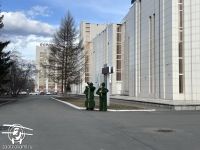 Потепление до +27 градусов ожидают в Кургане