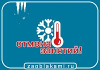 В школах Кургана и Шадринска частично отменили занятия из-за морозов