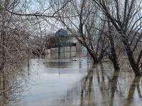 Курганцев предупредили о приближающейся к домам воде