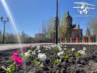 Больше 73 тысяч цветов высадят в Кургане