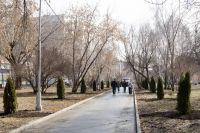 В Парке Победы Кургана высадили туи