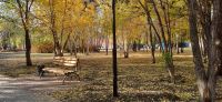 Теплое и сухое начало октября прогнозируют в Кургане 