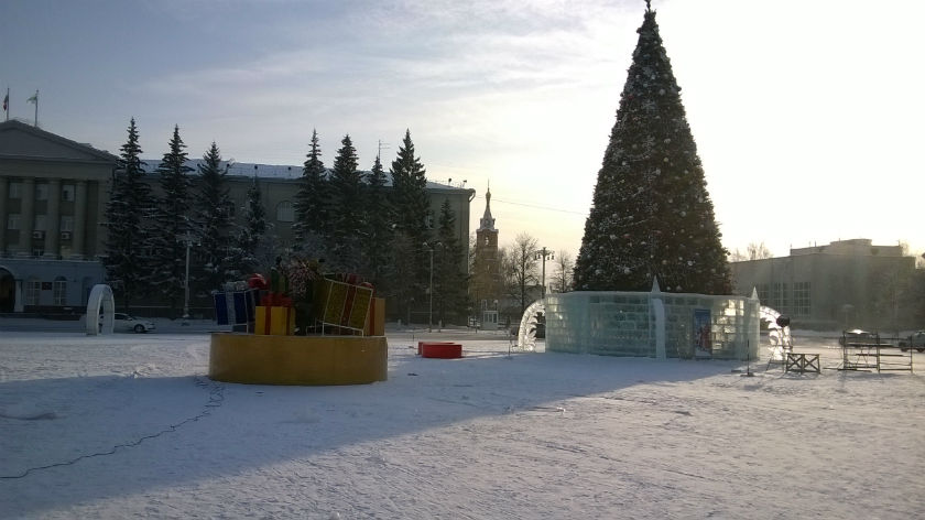 Сосна Новогодняя В Кургане Сосна Новогодняя В Кургане
